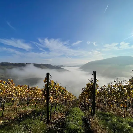 Ahr Aparthotel Dernau