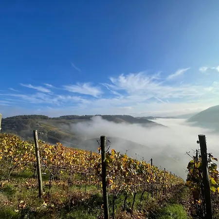 Aparthotel Ahr Dernau