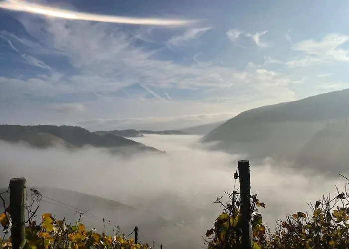 公寓式酒店 Ahr 3*