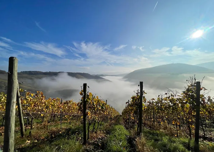 Ahr 公寓式酒店 德尔瑙