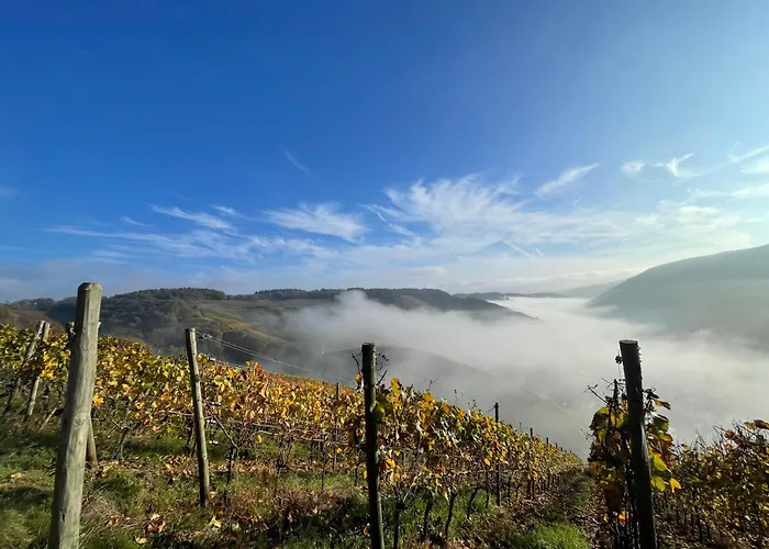 公寓式酒店 Ahr 德尔瑙